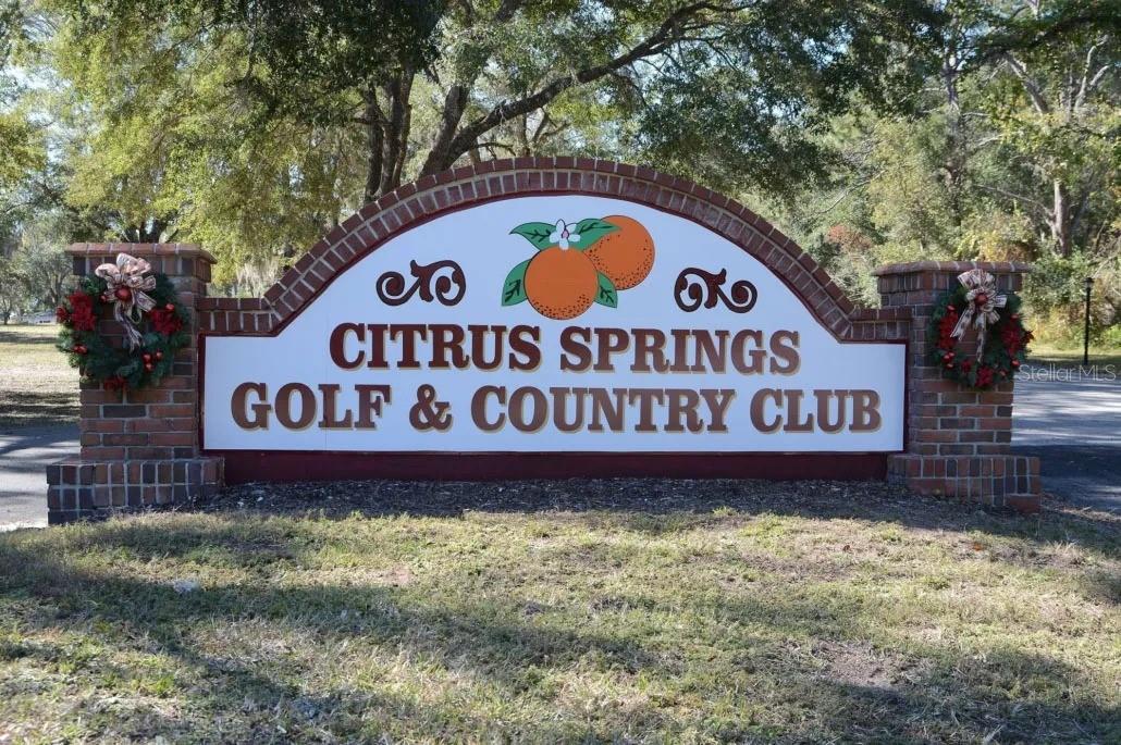 11908 MONICA DR, CITRUS SPRINGS, FL, 34433