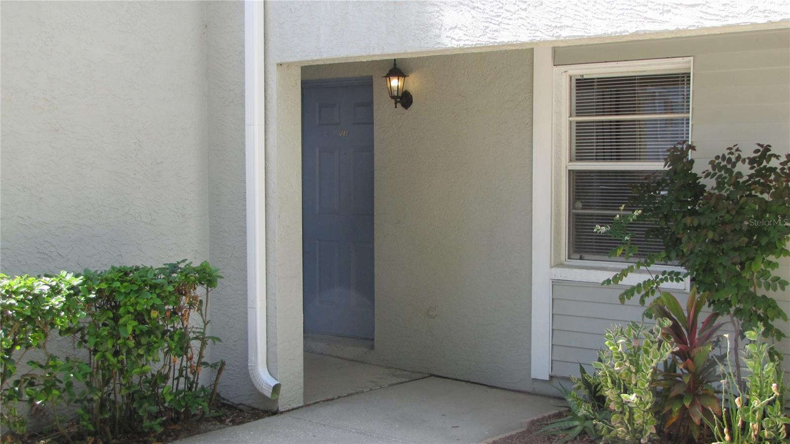 7238 E BANK DR, TAMPA, FL, 33617
