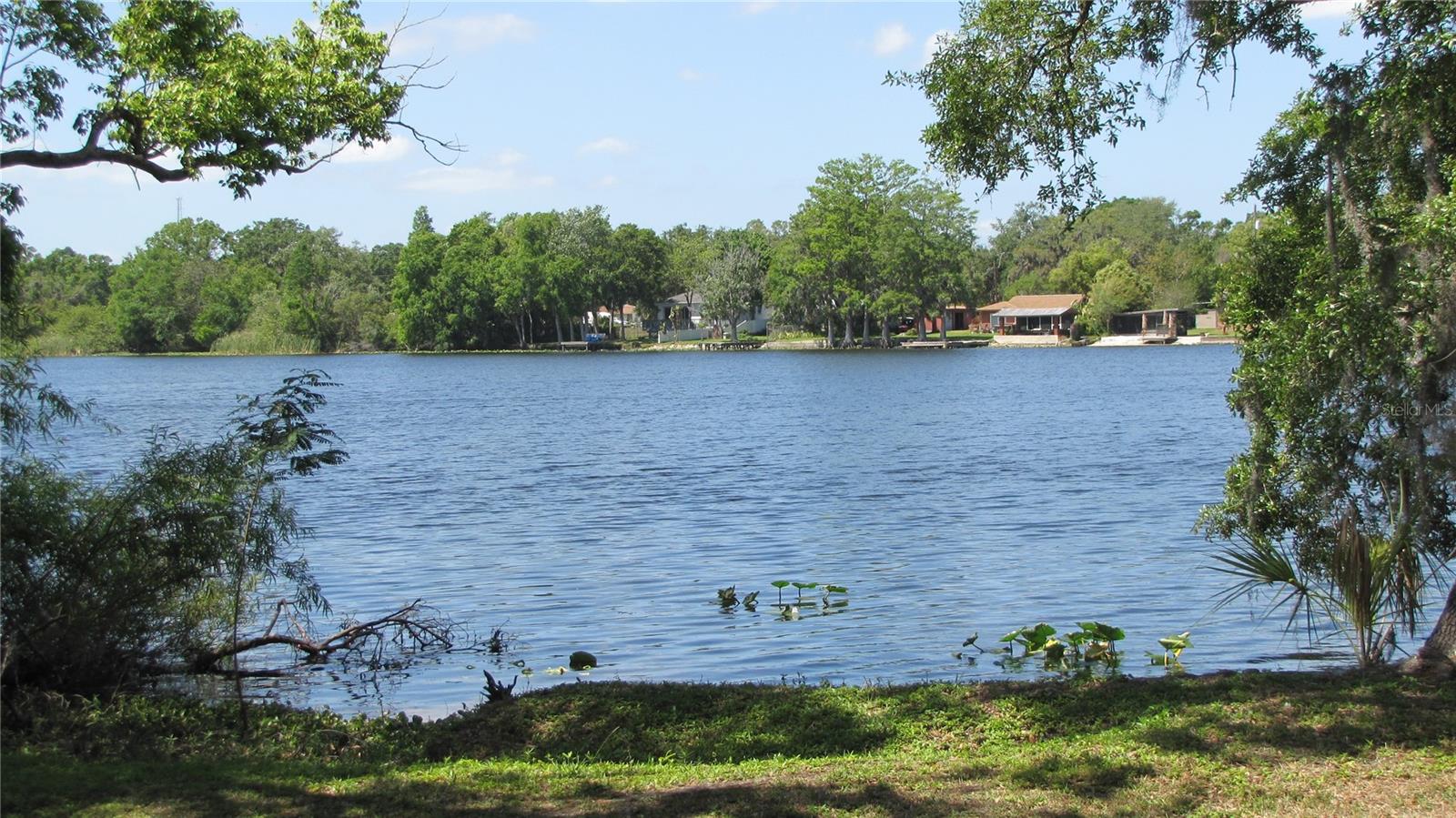 7238 E BANK DR, TAMPA, FL, 33617