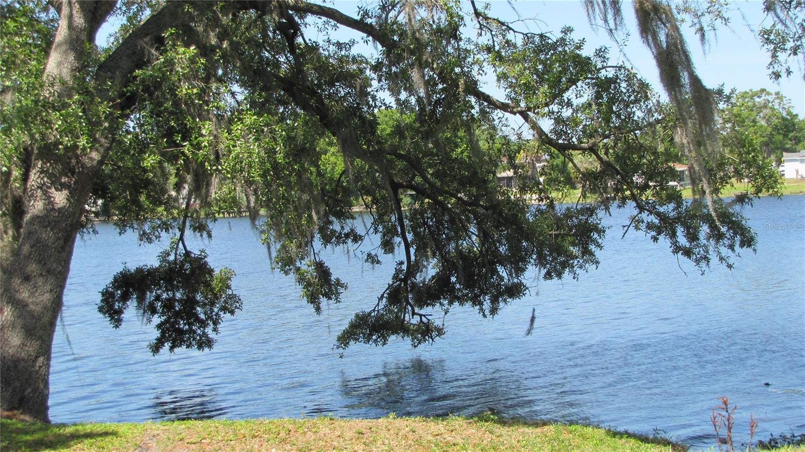 7238 E BANK DR, TAMPA, FL, 33617