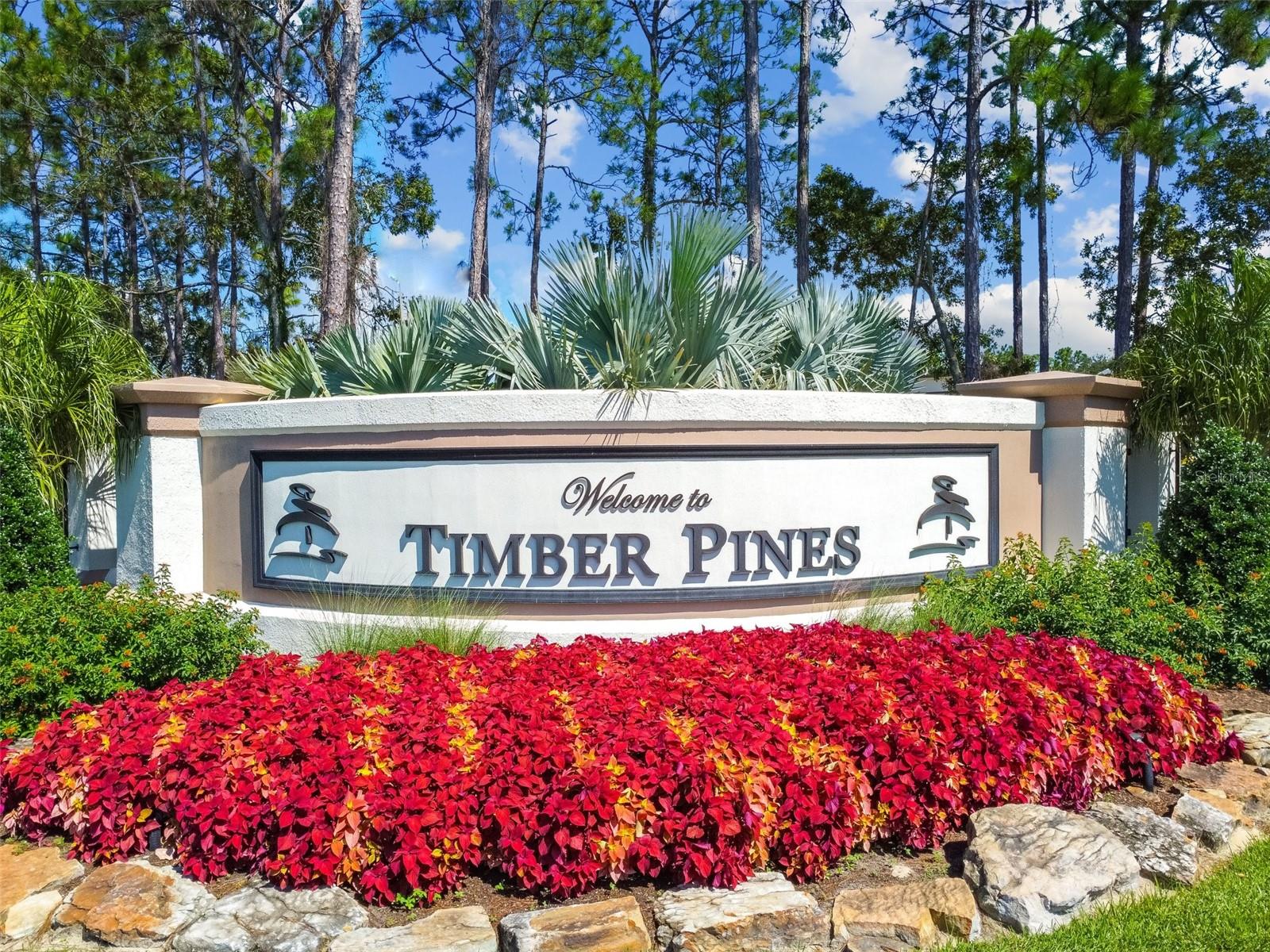 7424 WOODHOLLOW RD, SPRING HILL, FL, 34606