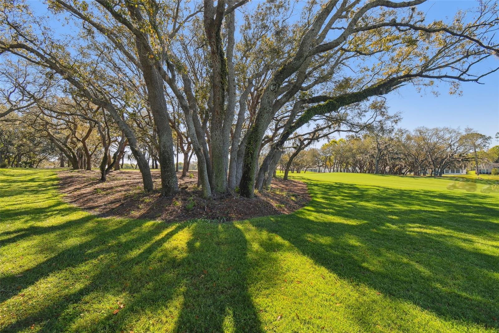 7424 WOODHOLLOW RD, SPRING HILL, FL, 34606