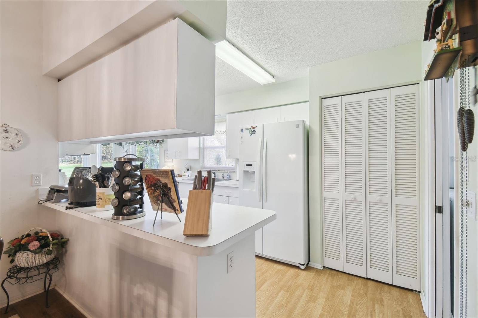 7424 WOODHOLLOW RD, SPRING HILL, FL, 34606