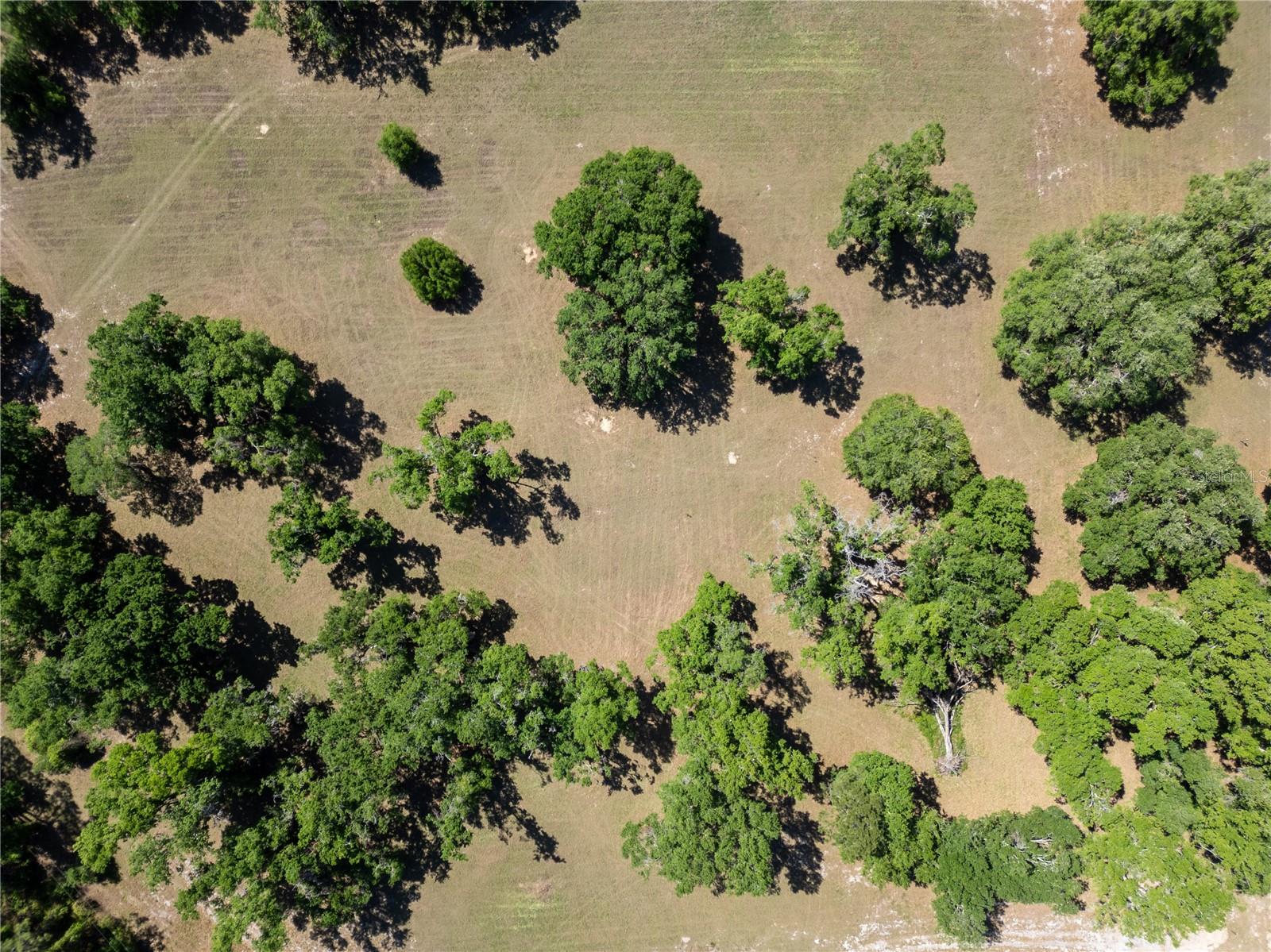 DR BAKER RD, GROVELAND, FL, 34736