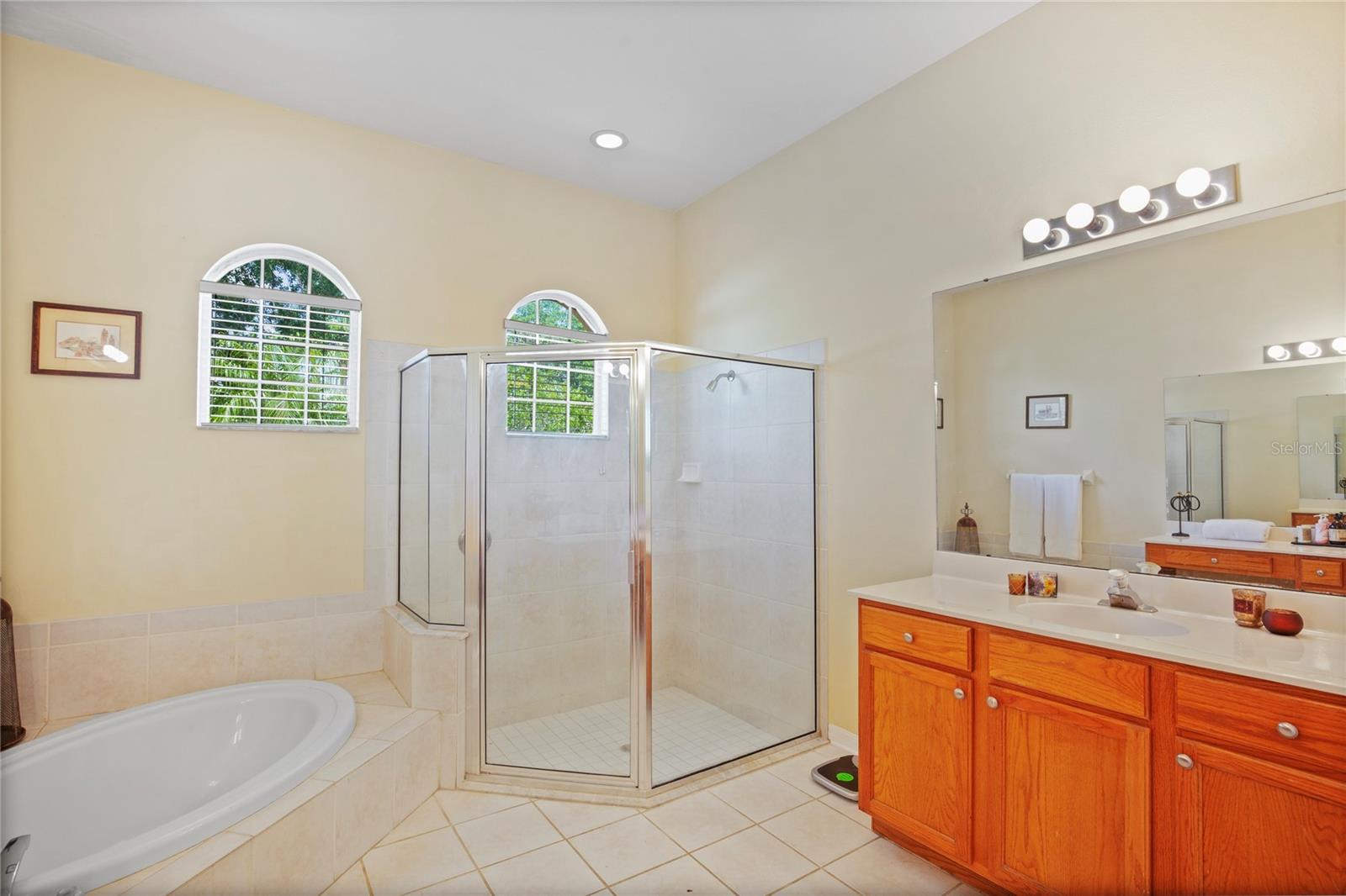 4608 KILCOYNE CT, LUTZ, FL, 33558