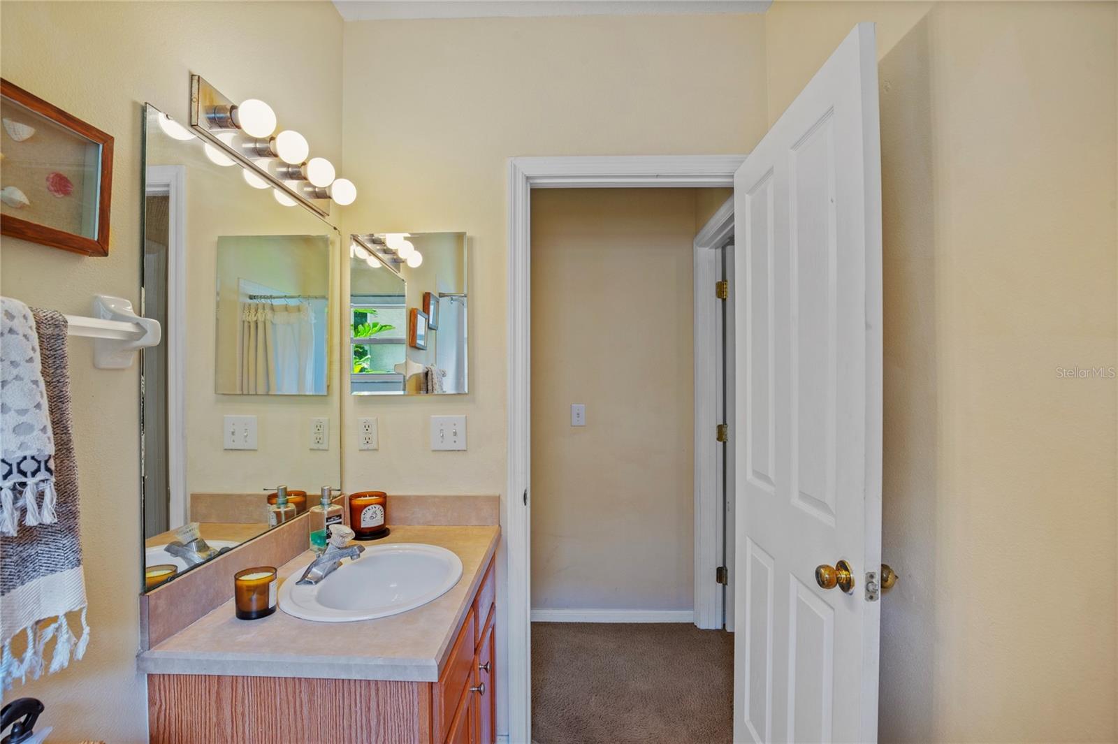 4608 KILCOYNE CT, LUTZ, FL, 33558