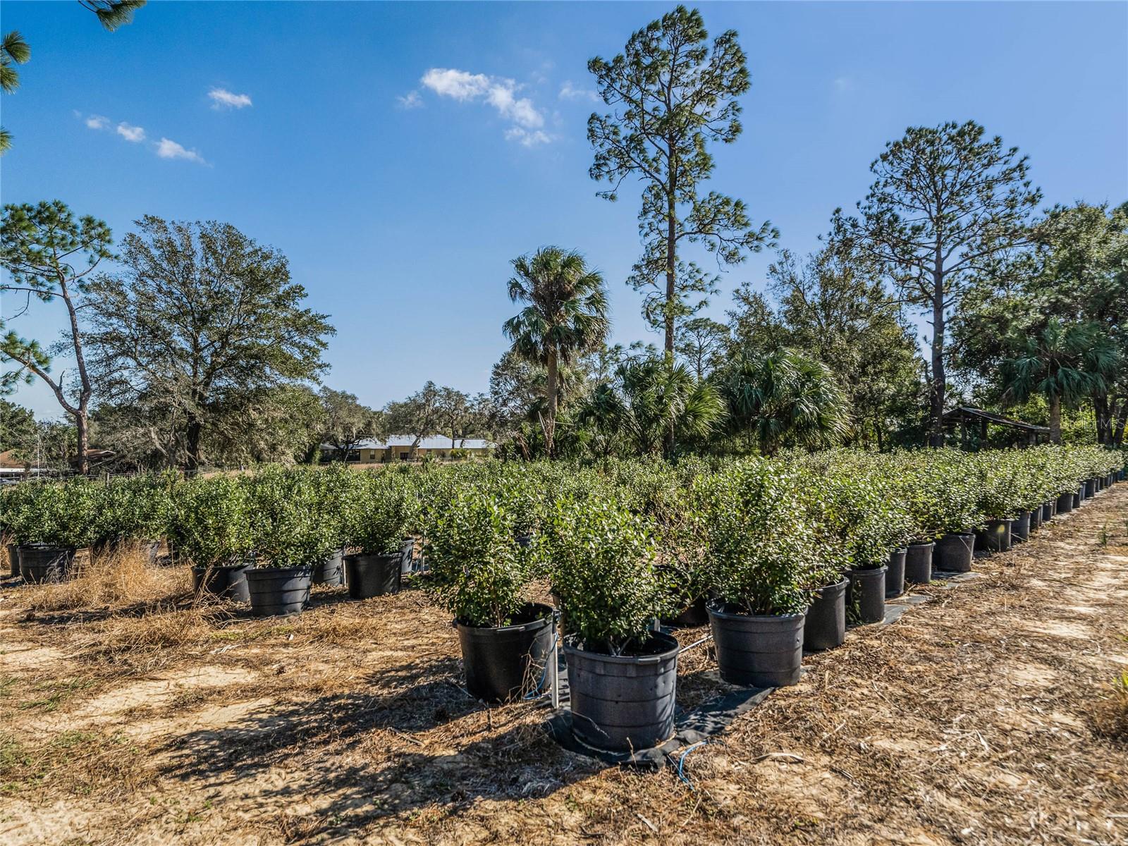 1211 NORMANDY DR, HAINES CITY, FL, 33844