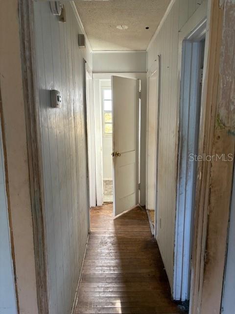 3772 COCHRAN ST, APOPKA, FL, 32703