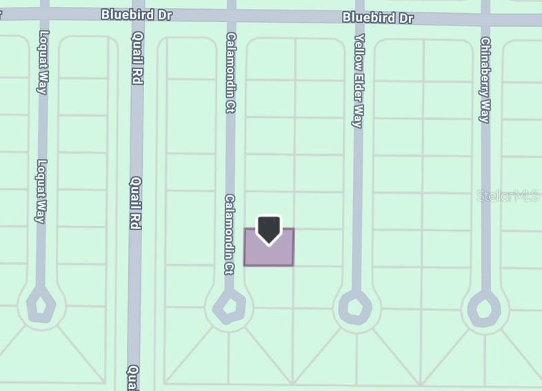 8 CALAMONDIN WAY, PLACIDA, FL, 33946