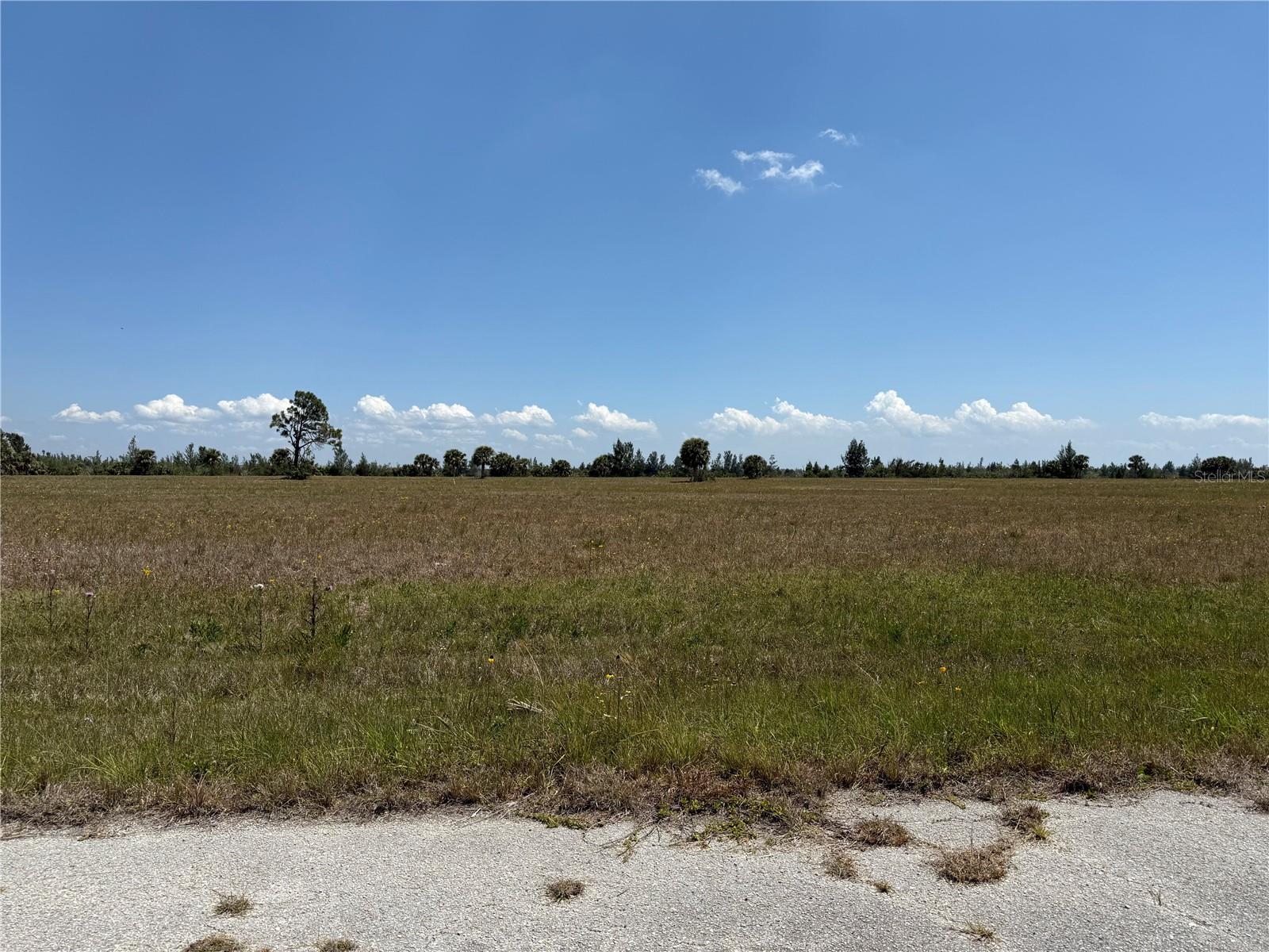 8 CALAMONDIN WAY, PLACIDA, FL, 33946