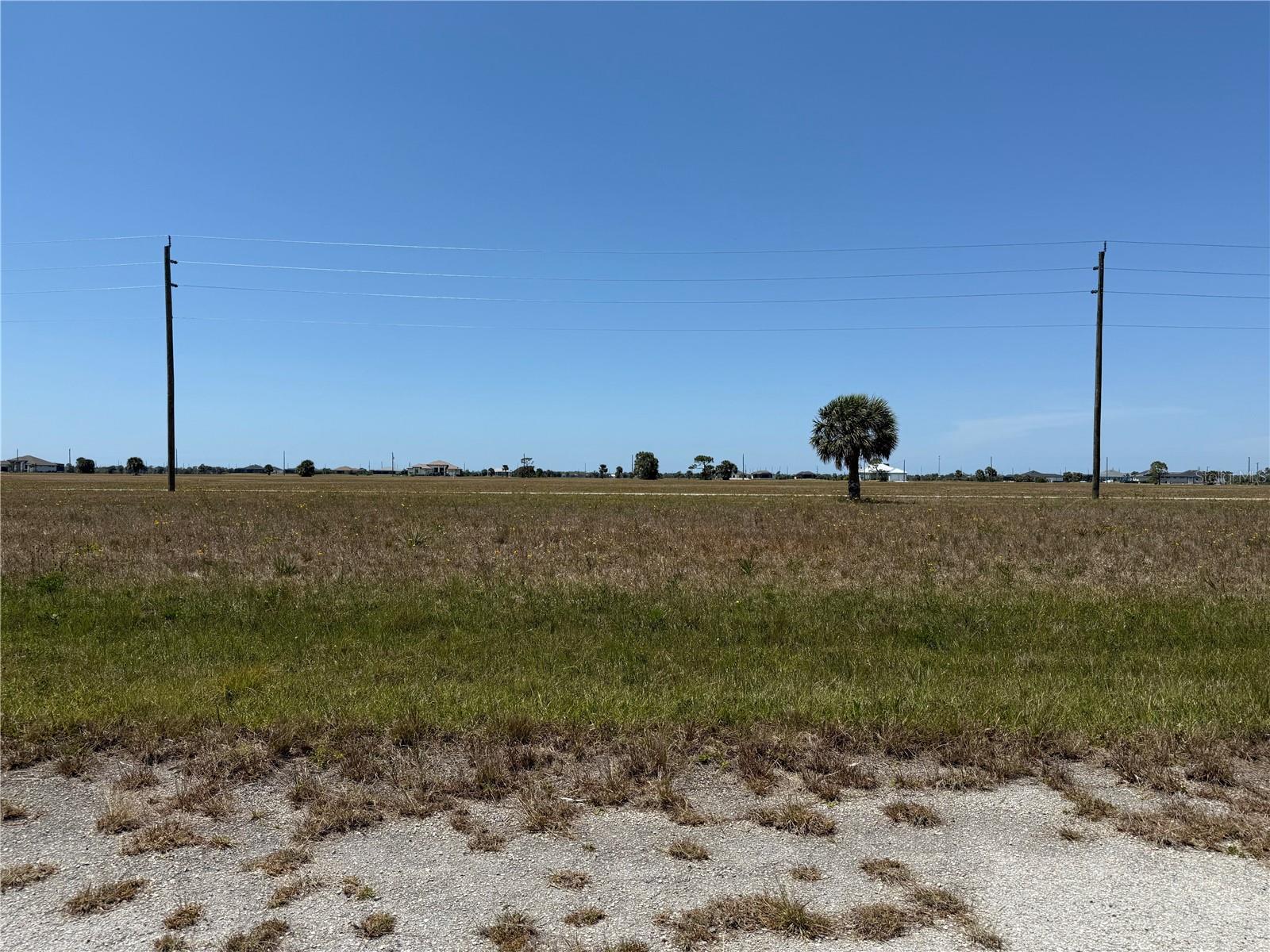 8 CALAMONDIN WAY, PLACIDA, FL, 33946