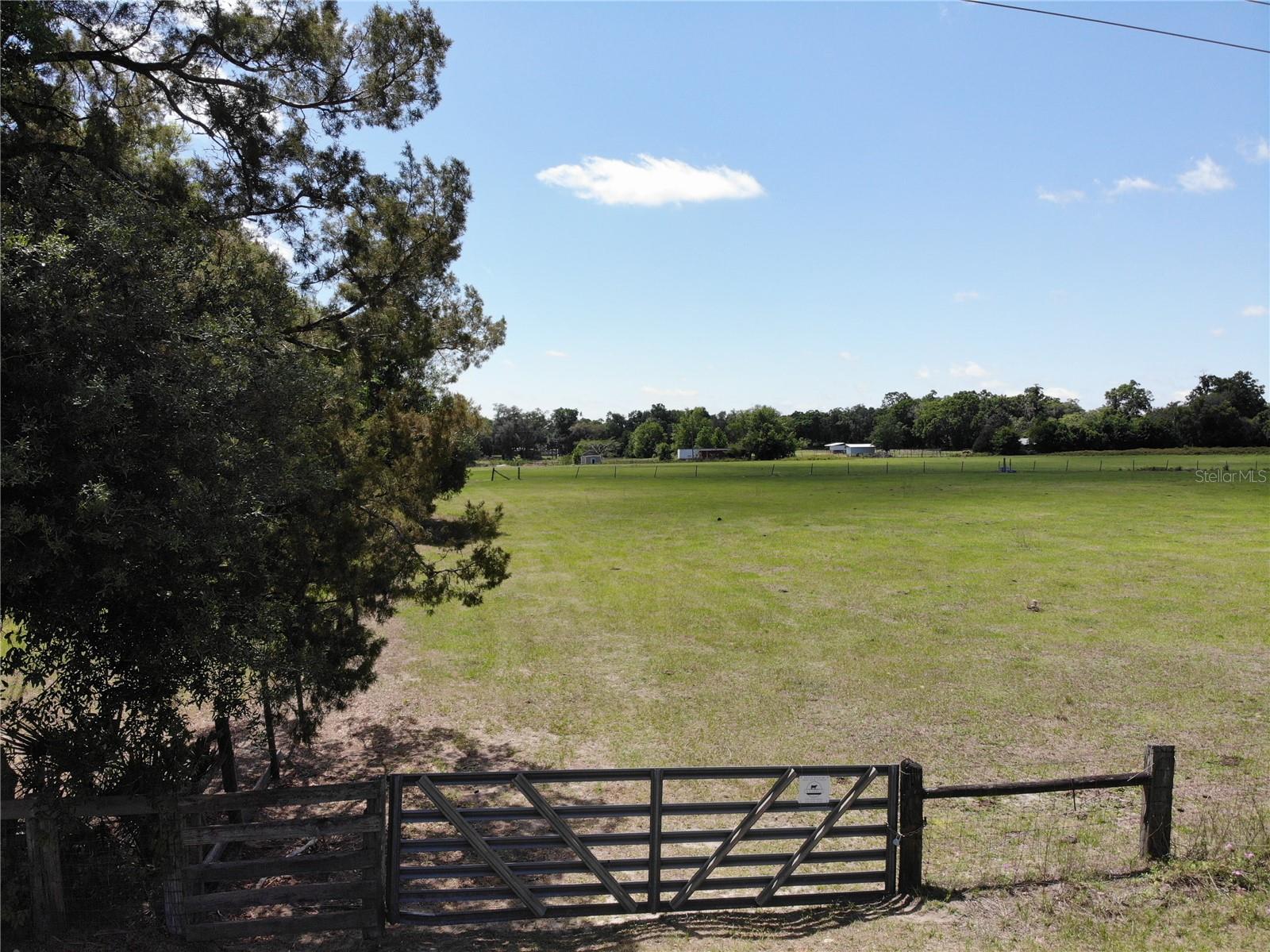 3650 95TH ST, ANTHONY, FL, 32617
