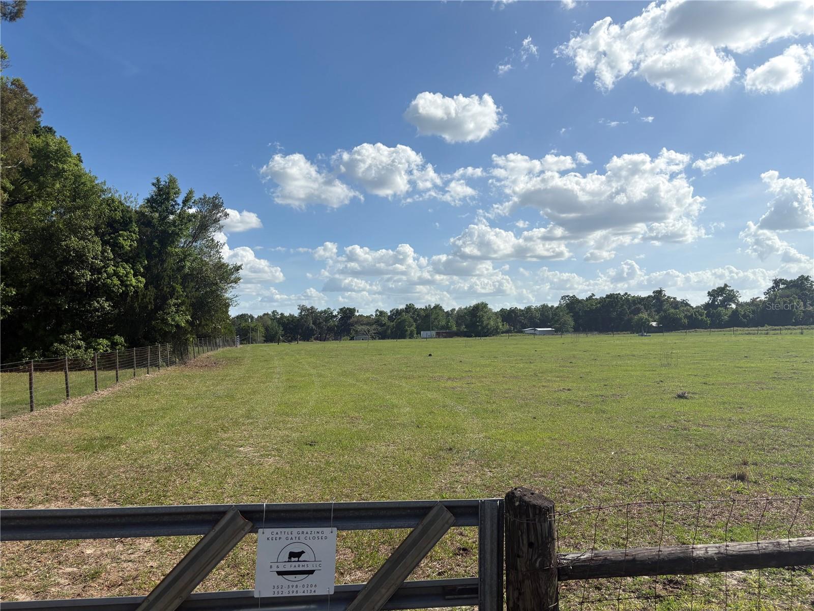 3650 95TH ST, ANTHONY, FL, 32617