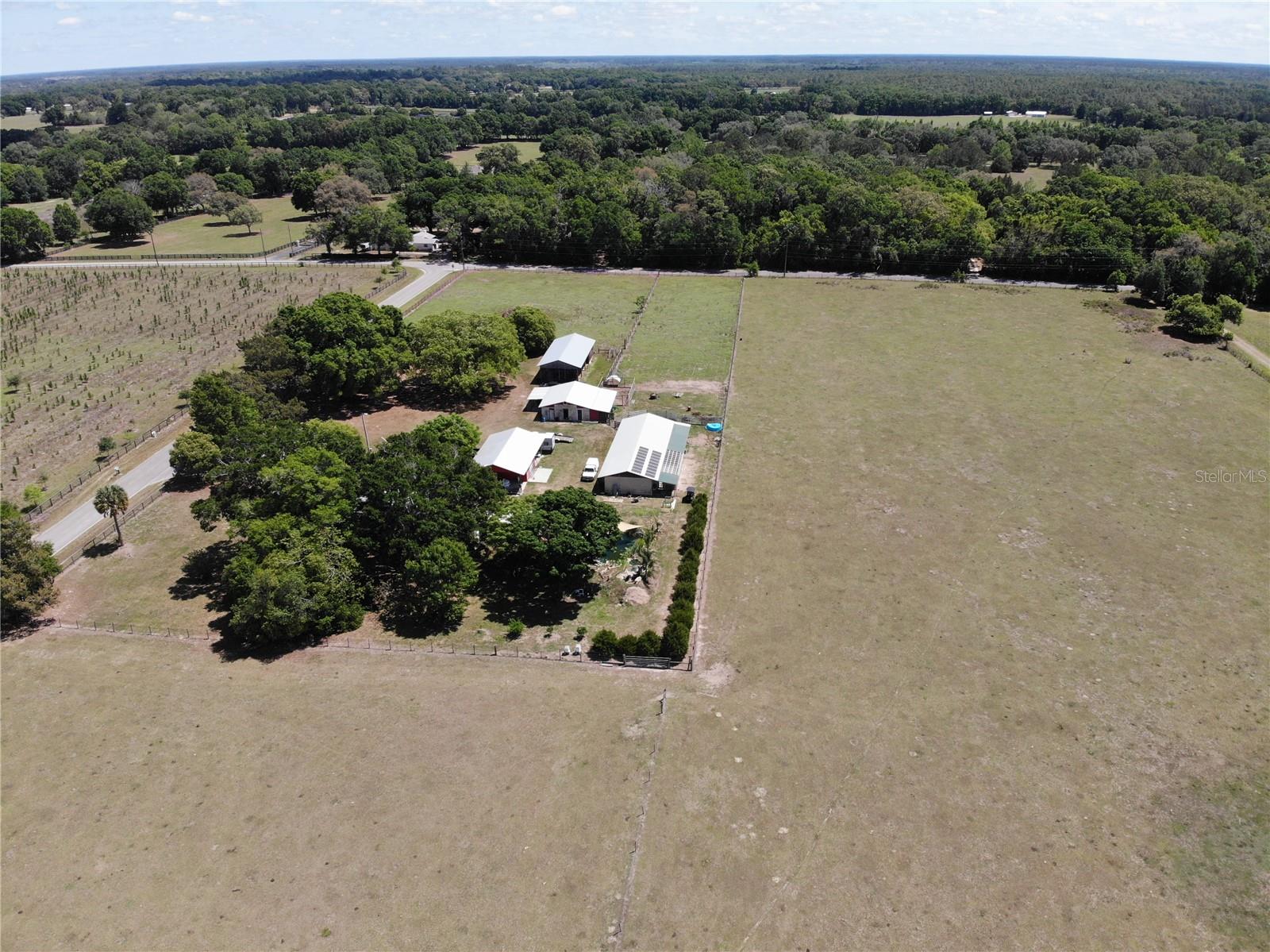 3650 95TH ST, ANTHONY, FL, 32617