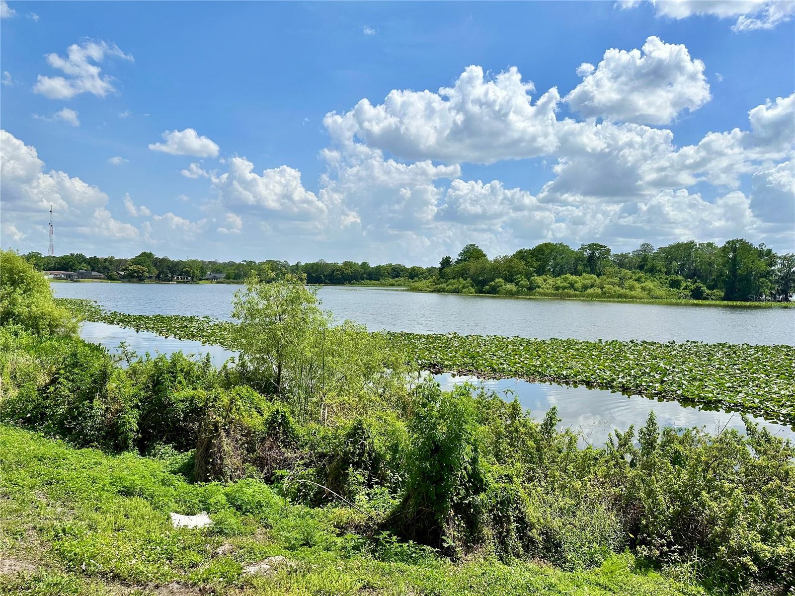4010 VERSAILLES DR #4010C, ORLANDO, FL, 32808