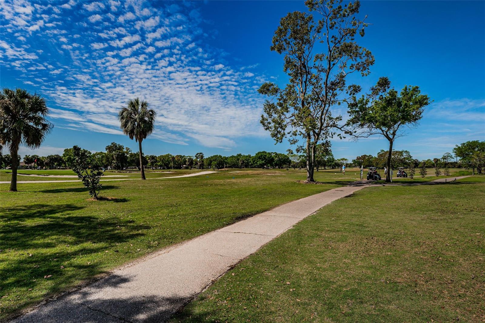 3918 VERSAILLES DR, TAMPA, FL, 33634