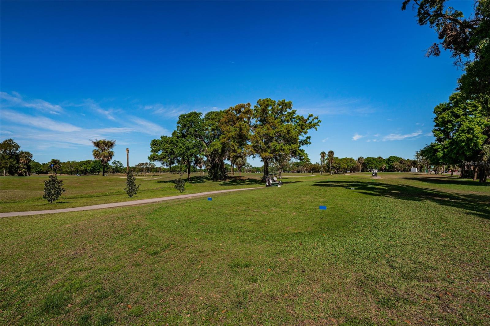 3918 VERSAILLES DR, TAMPA, FL, 33634