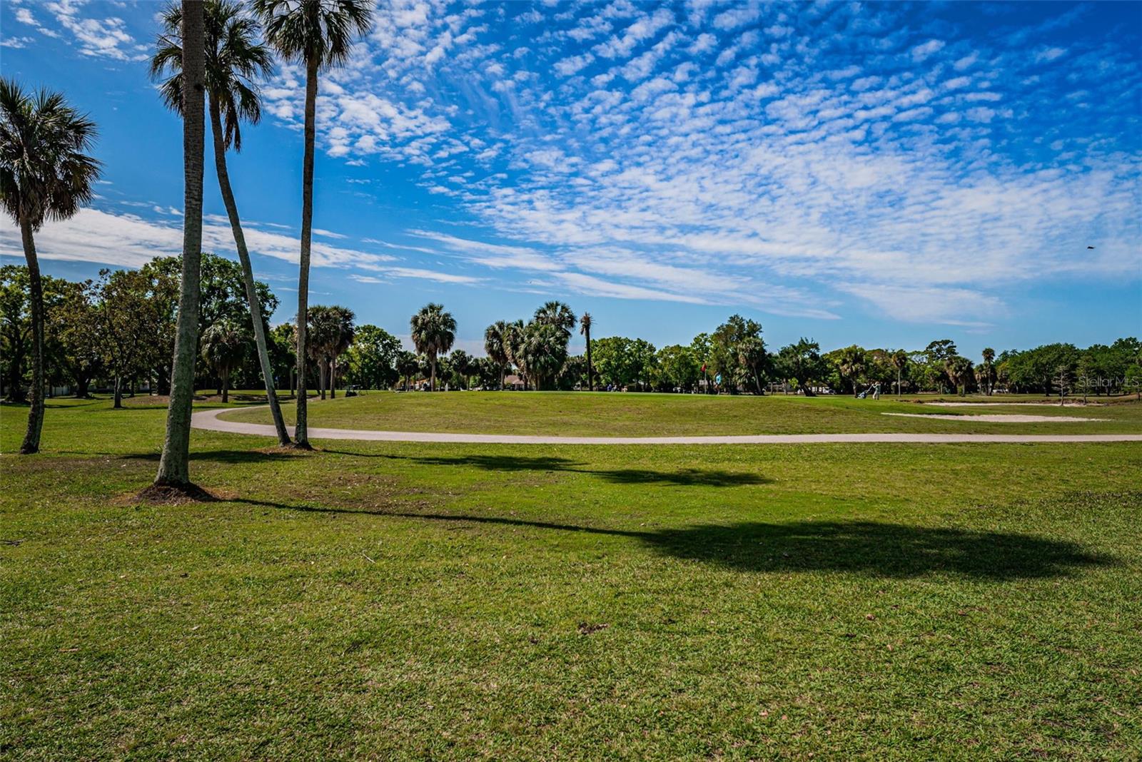 3918 VERSAILLES DR, TAMPA, FL, 33634