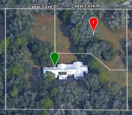 10809 CEDAR COVE DRIVE, THONOTOSASSA, FL, 33592