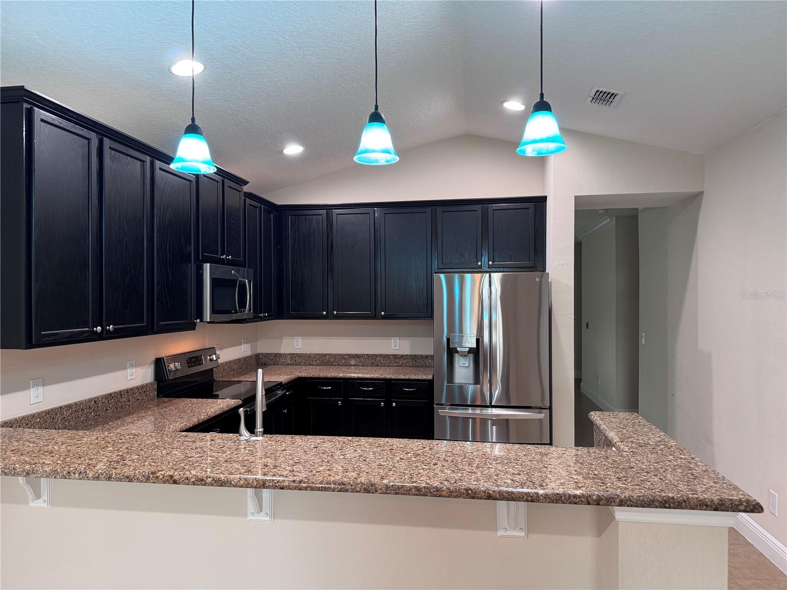 3447 CYPRESS GROVE DR, EUSTIS, FL, 32736