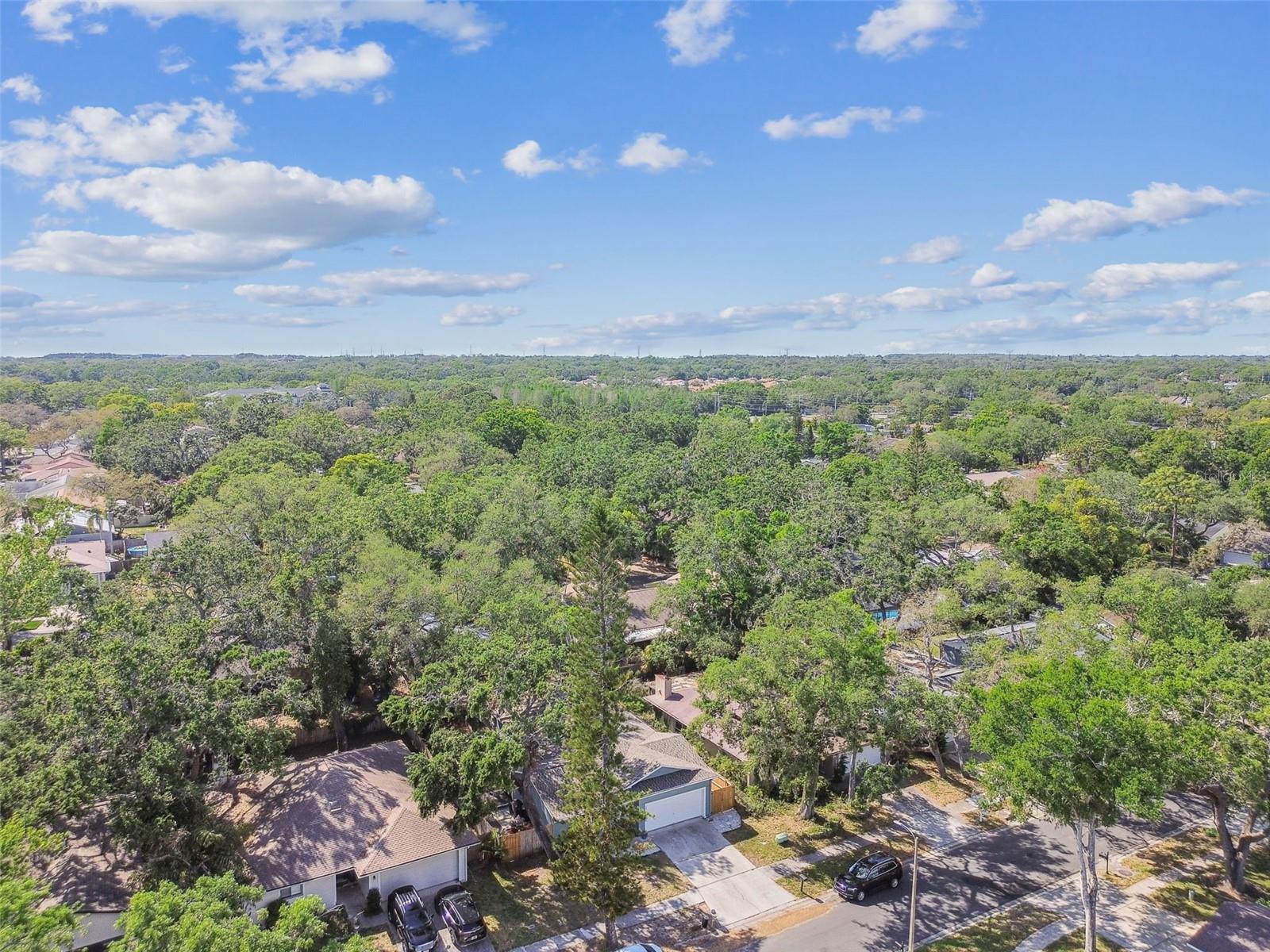 35 HARBOR OAKS CIR, SAFETY HARBOR, FL, 34695