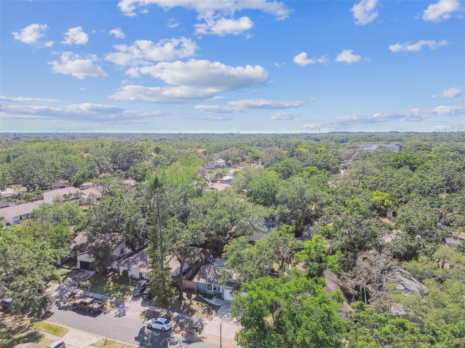 35 HARBOR OAKS CIR, SAFETY HARBOR, FL, 34695