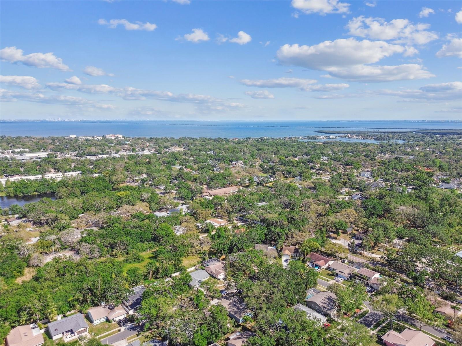 35 HARBOR OAKS CIR, SAFETY HARBOR, FL, 34695