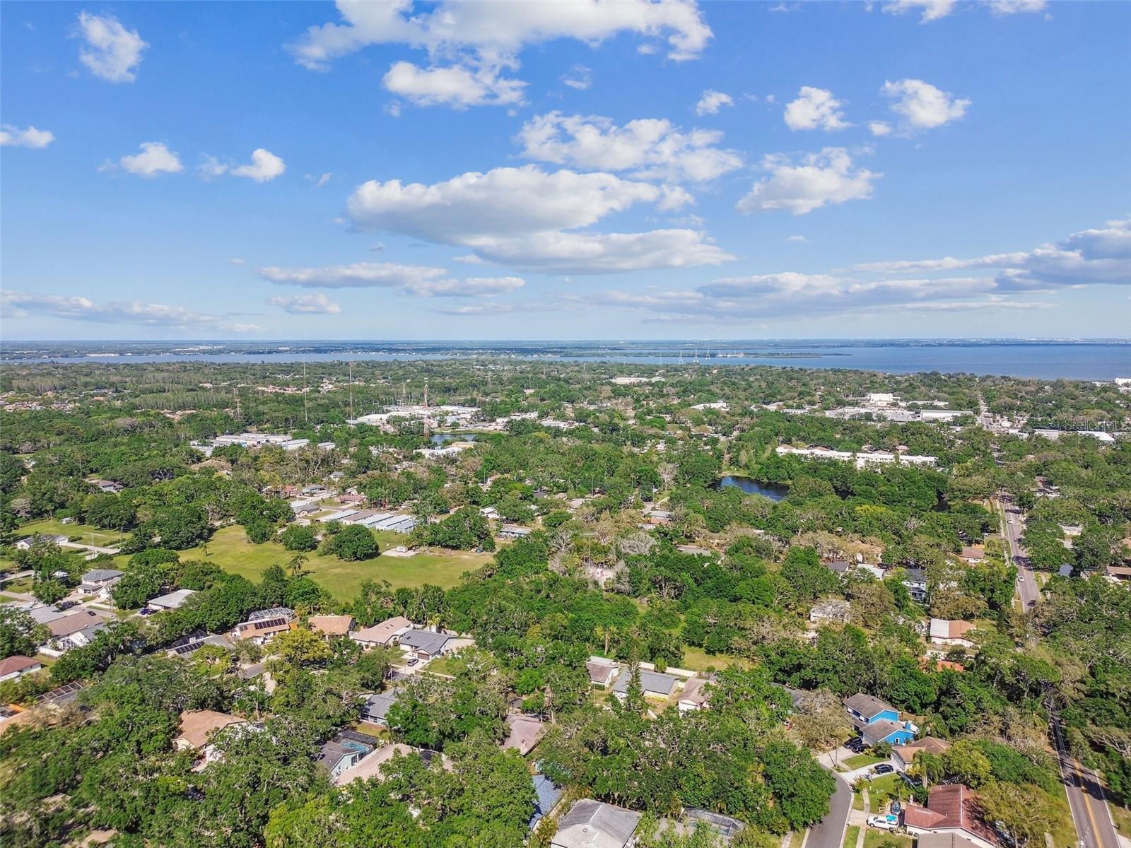 35 HARBOR OAKS CIR, SAFETY HARBOR, FL, 34695