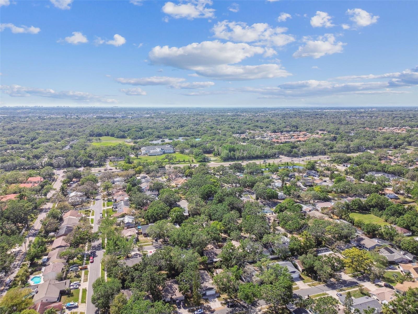 35 HARBOR OAKS CIR, SAFETY HARBOR, FL, 34695
