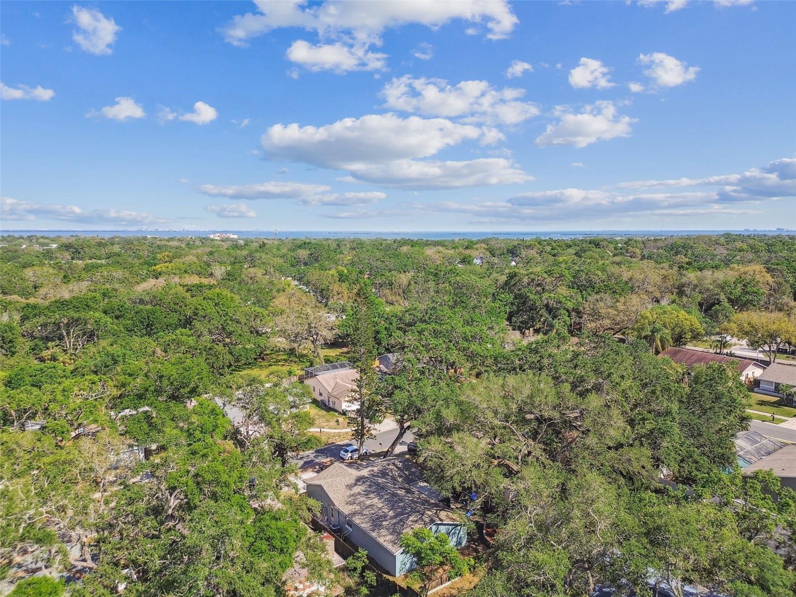 35 HARBOR OAKS CIR, SAFETY HARBOR, FL, 34695