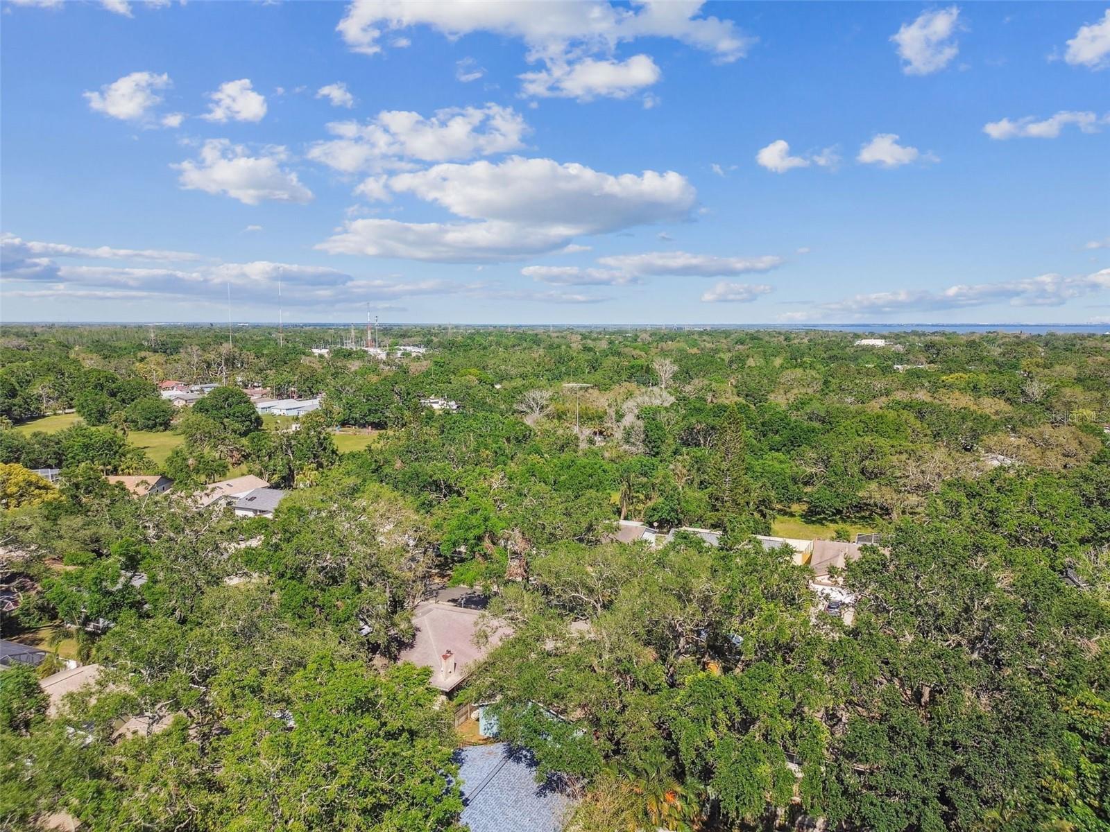 35 HARBOR OAKS CIR, SAFETY HARBOR, FL, 34695