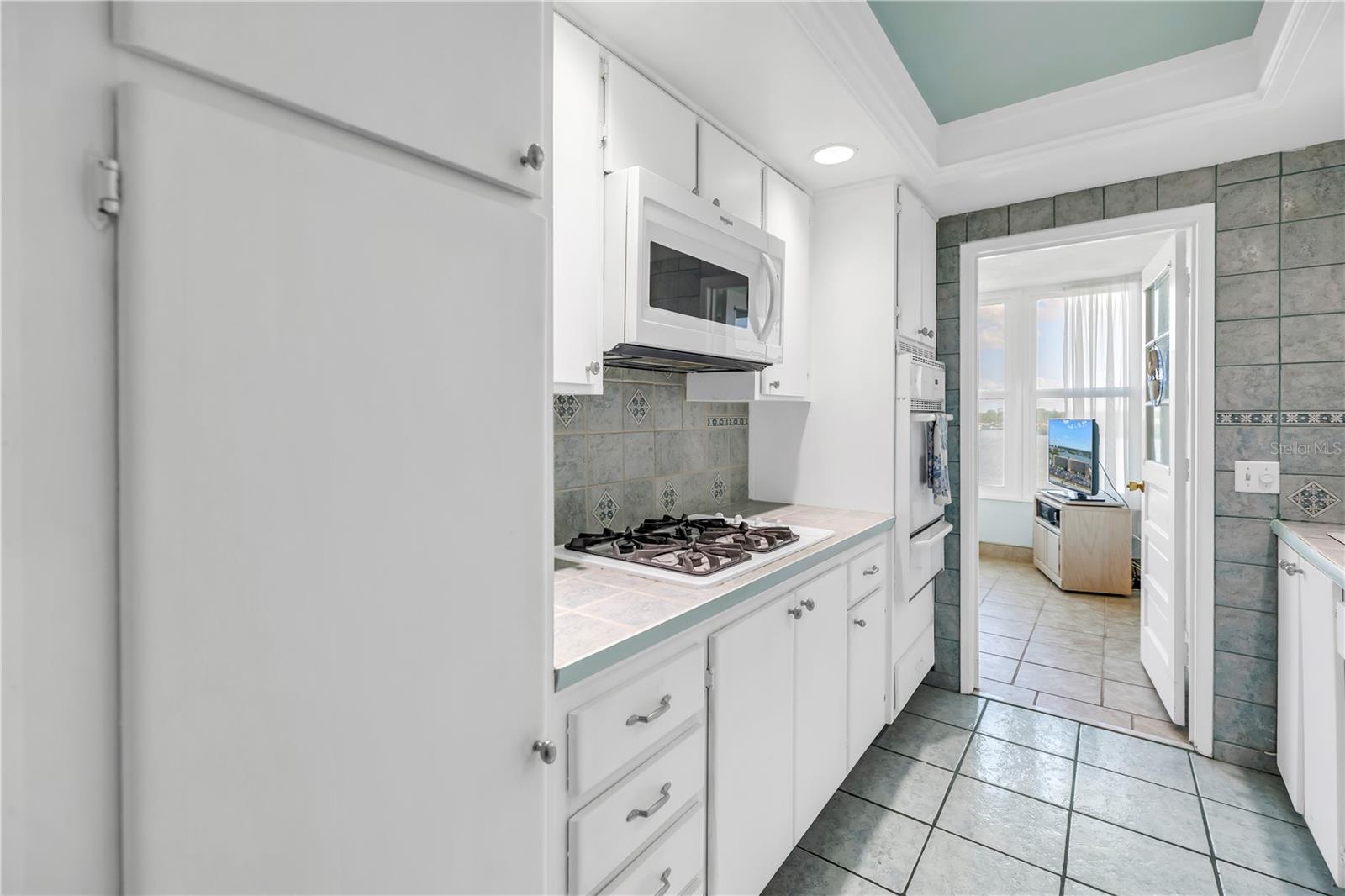 1847 SHORE DR S #507, SOUTH PASADENA, FL, 33707