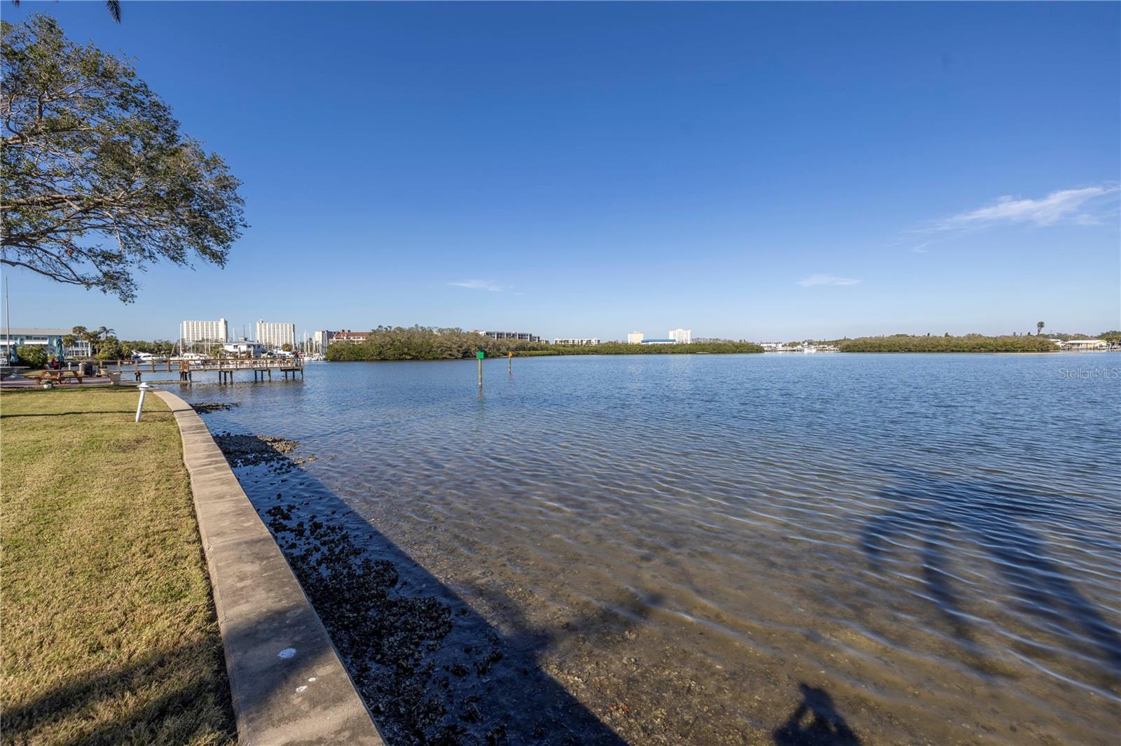 1847 SHORE DR S #507, SOUTH PASADENA, FL, 33707