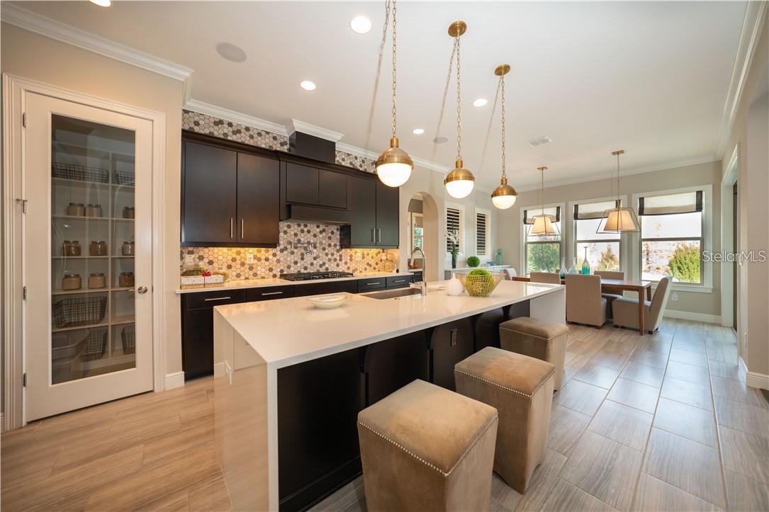 16899 BROADWATER AVE, WINTER GARDEN, FL, 34787