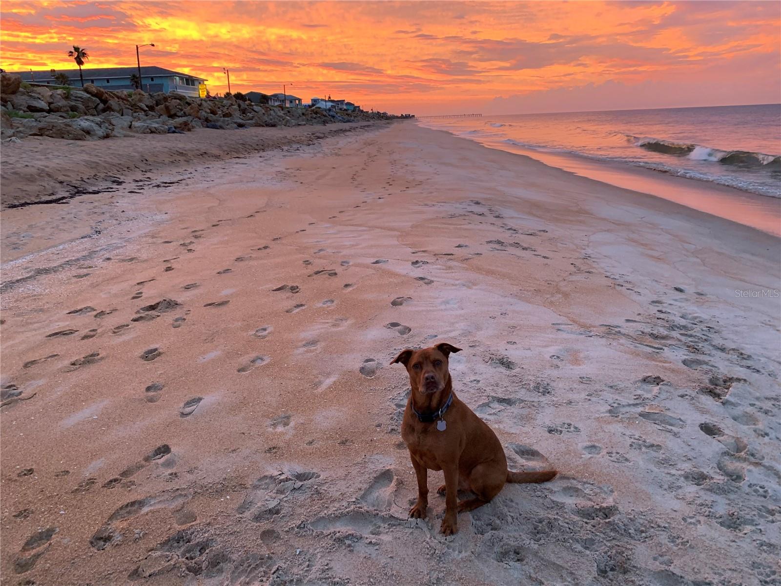 2299 N OCEANSHORE BLVD, FLAGLER BEACH, FL, 32136