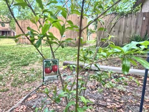 2761 GRANITERIDGE CT, ORANGE PARK, FL, 32065