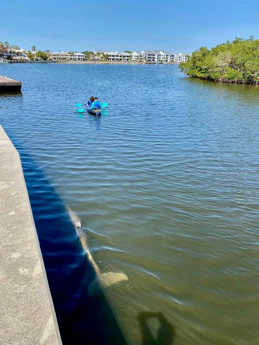448 BAHIA BEACH BLVD, RUSKIN, FL, 33570