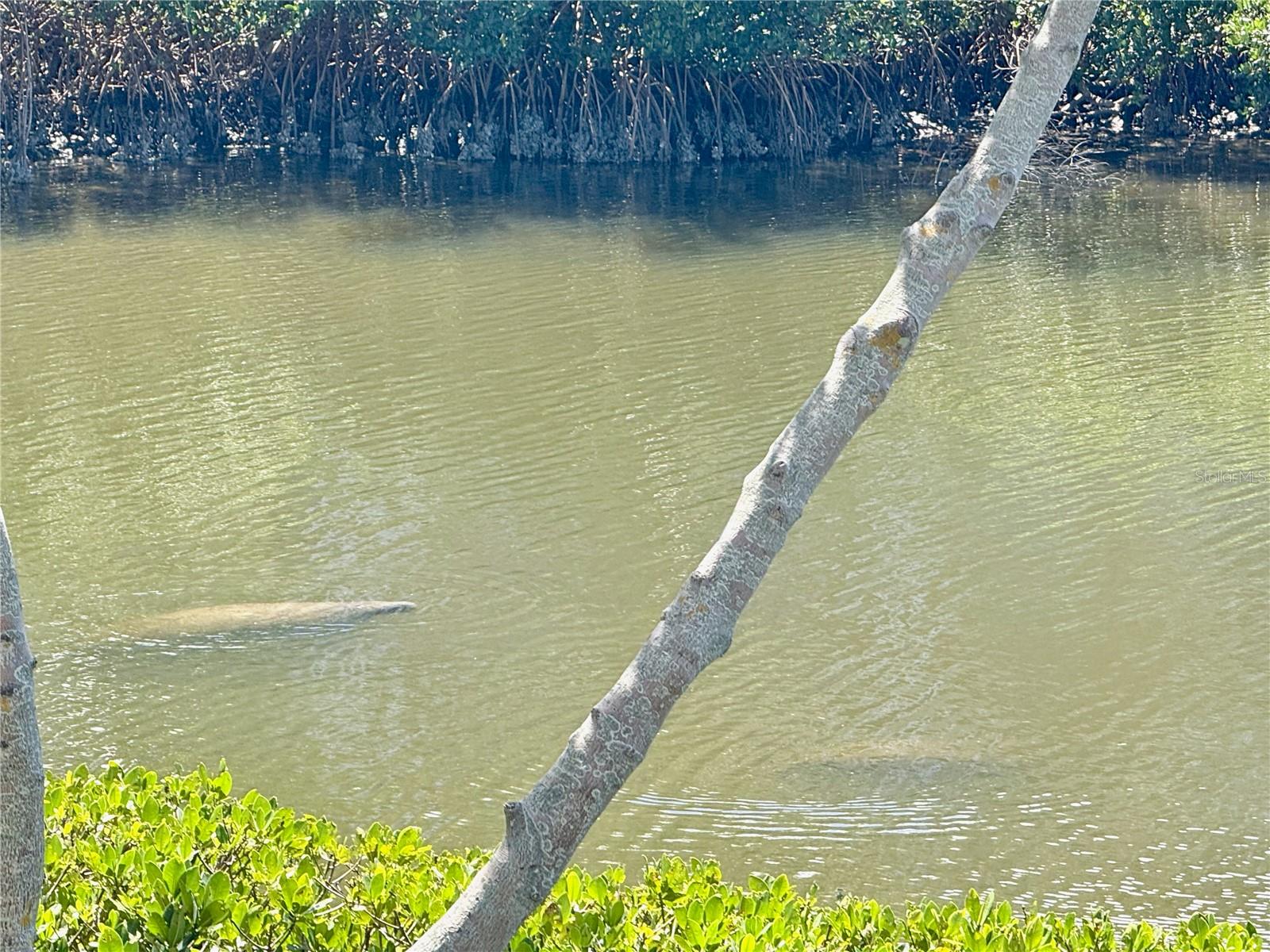 448 BAHIA BEACH BLVD, RUSKIN, FL, 33570