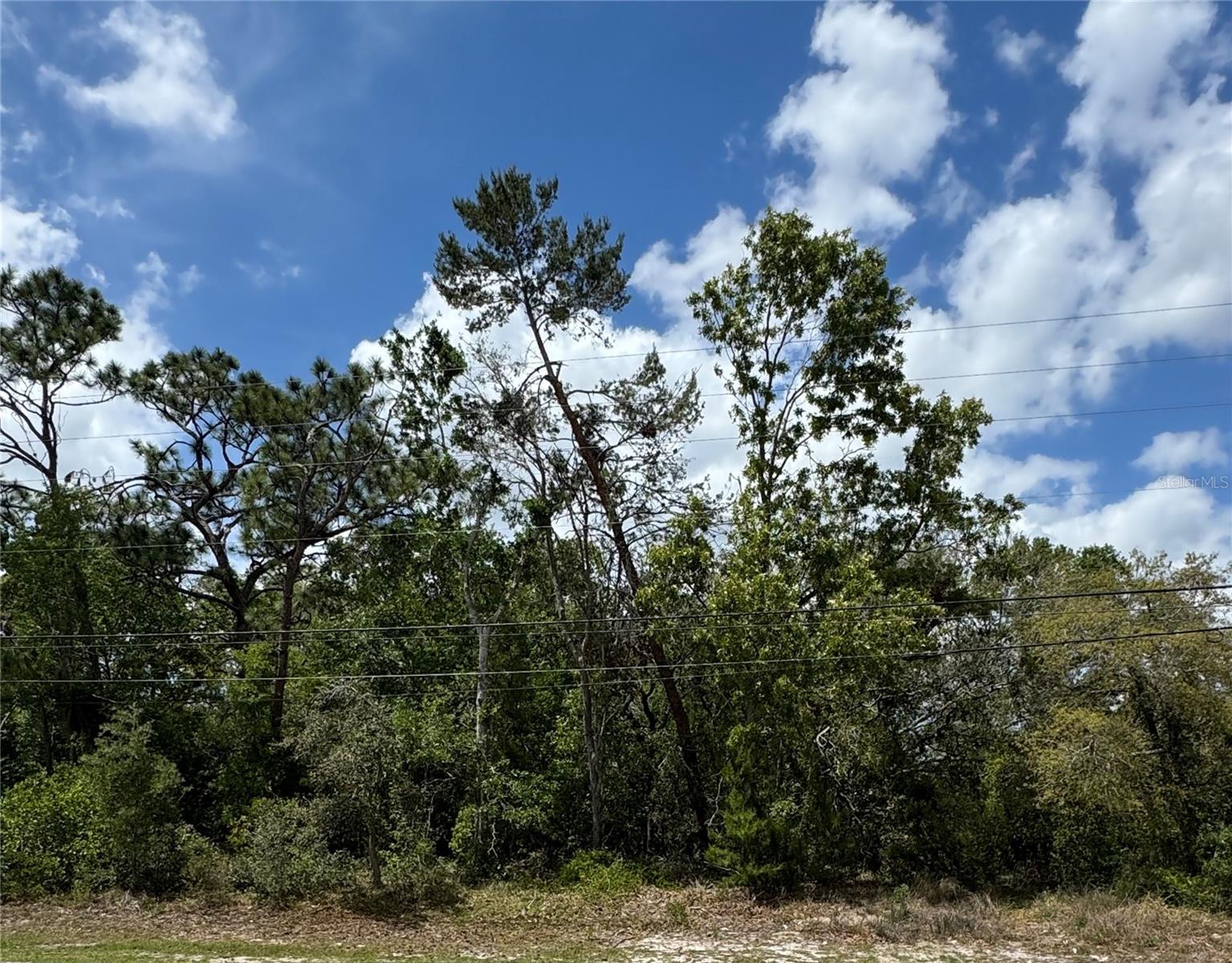 2185 WATERFALL DR, SPRING HILL, FL, 34608