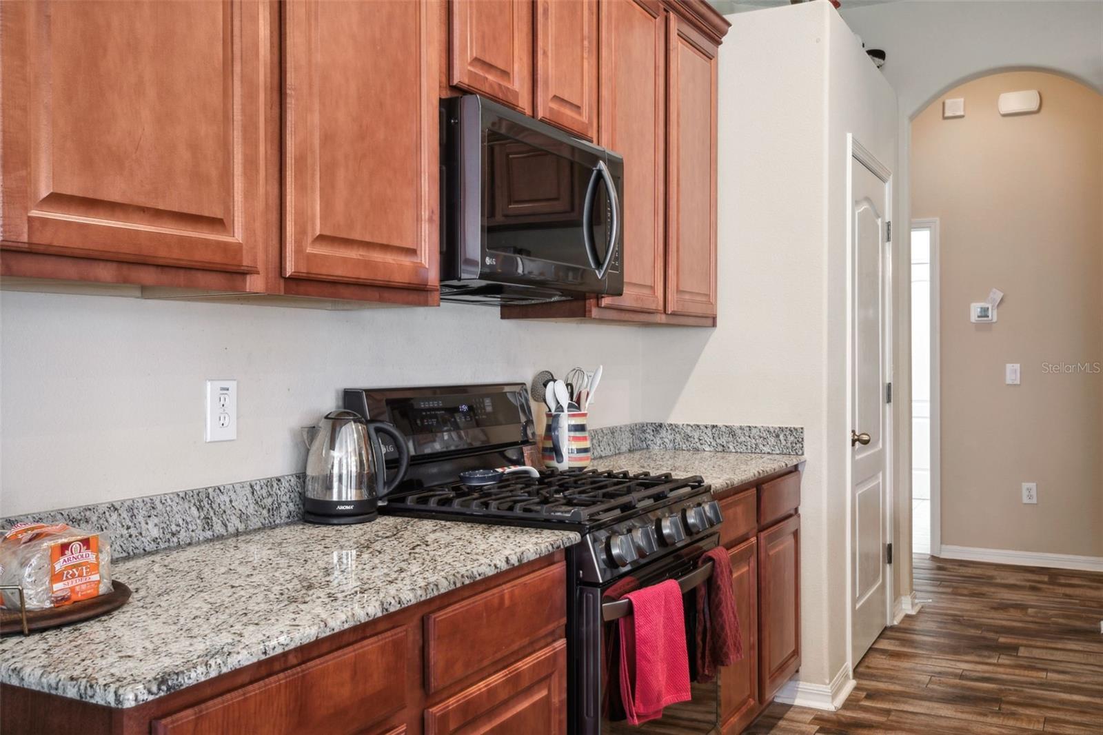 1430 BEACONSFIELD DR, WESLEY CHAPEL, FL, 33543