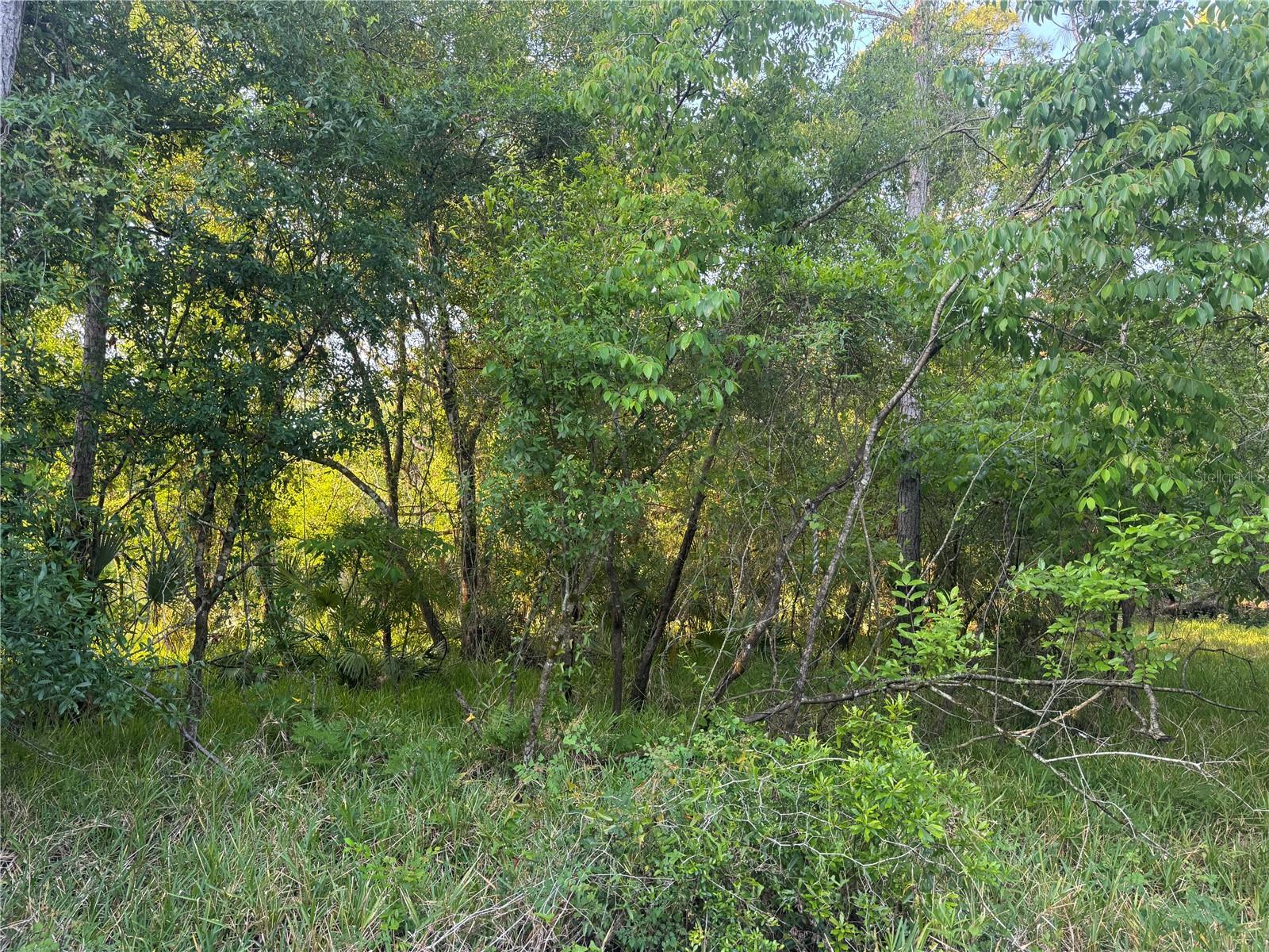 1297 NE RIVER RAFT DR, ARCADIA, FL, 34266