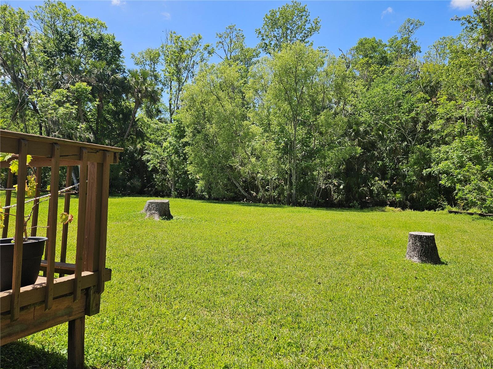1404 ELIZABETH ST, NEW SMYRNA BEACH, FL, 32168