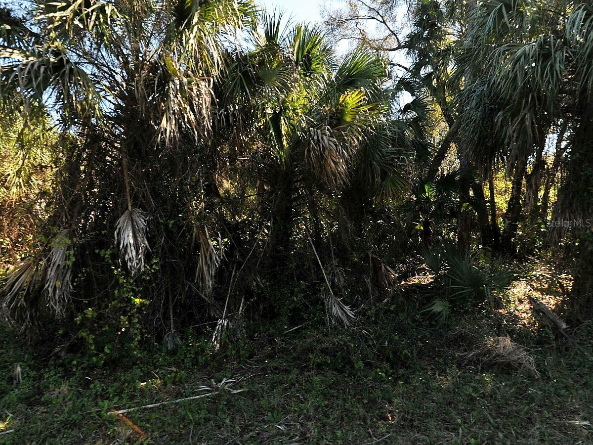 RUSSELLVILLE ST, NORTH PORT, FL, 34288