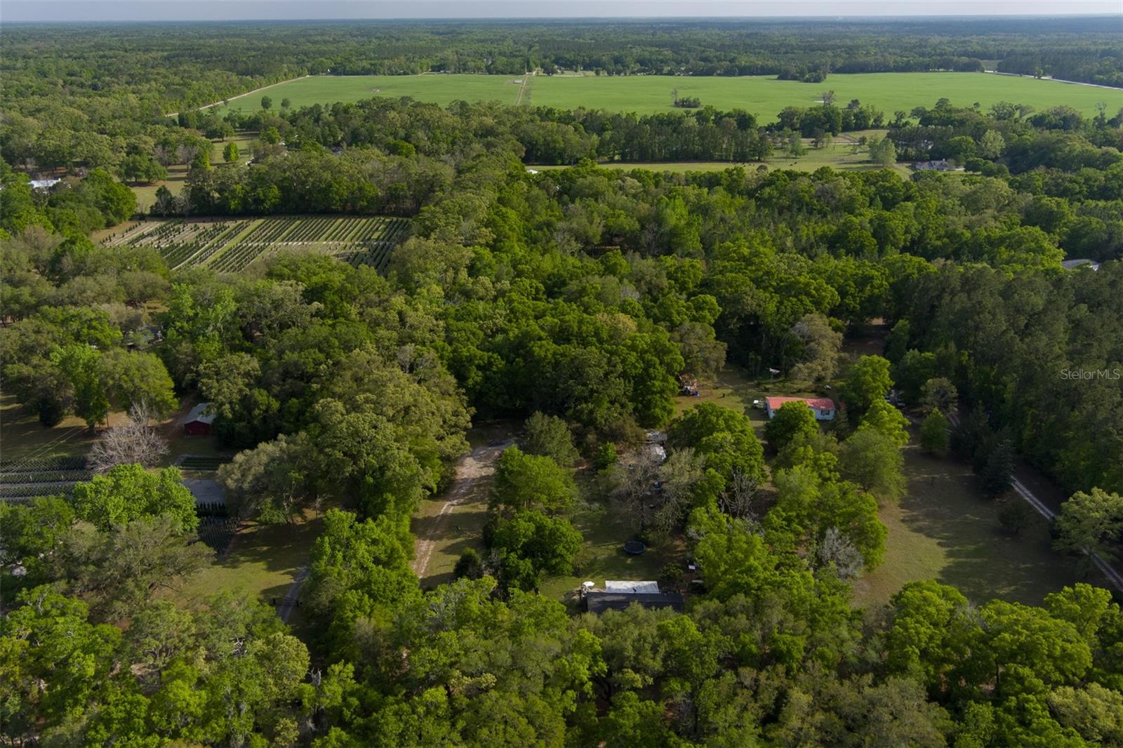 17817 NW 62ND AVE, ALACHUA, FL, 32615
