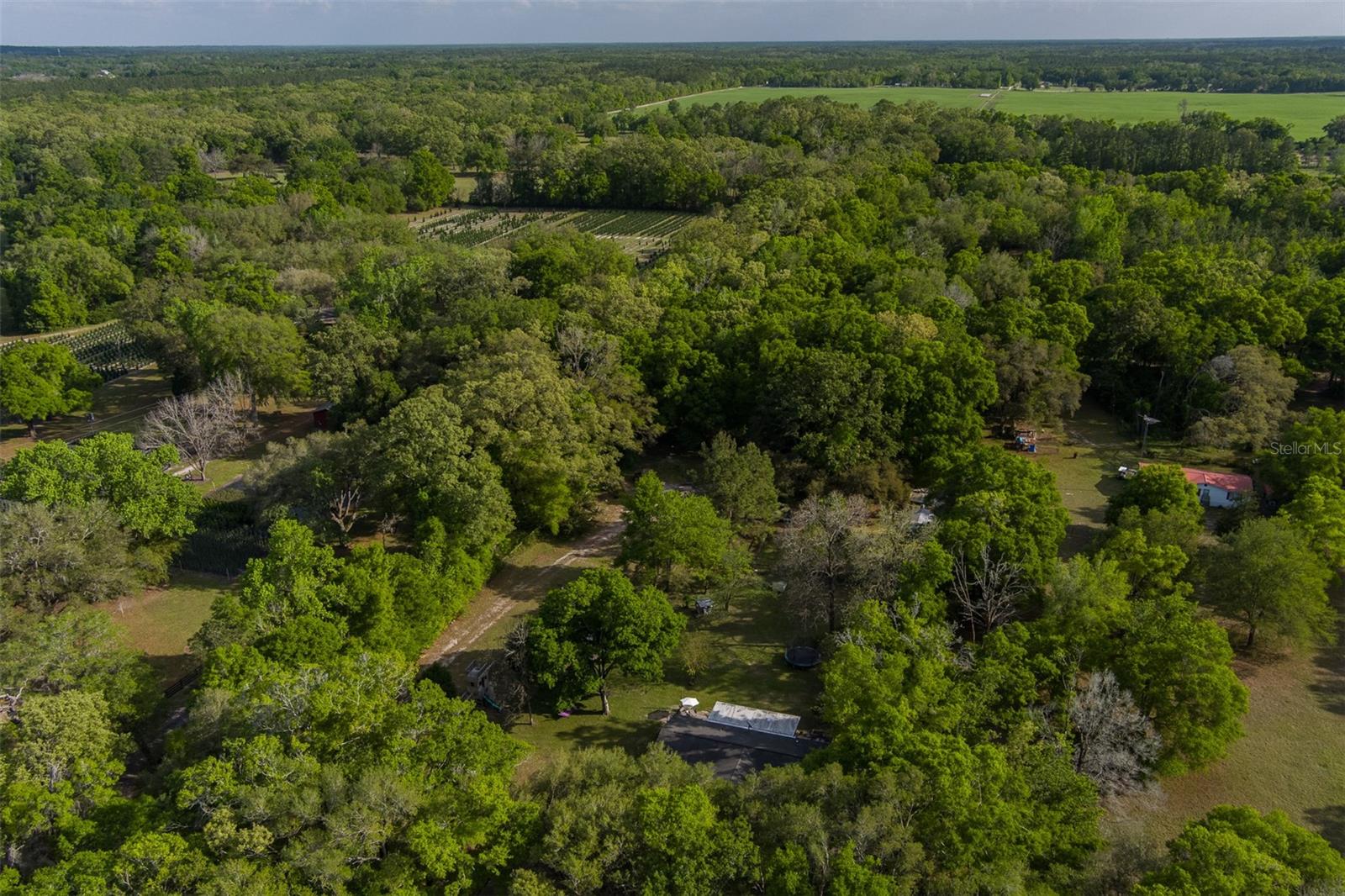 17817 NW 62ND AVE, ALACHUA, FL, 32615