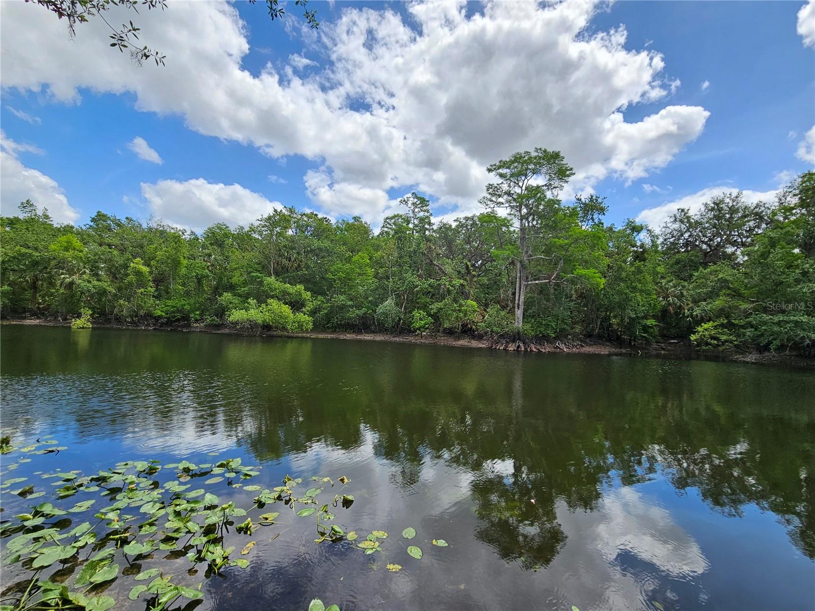 5110 STERLING MANOR DR, TAMPA, FL, 33647
