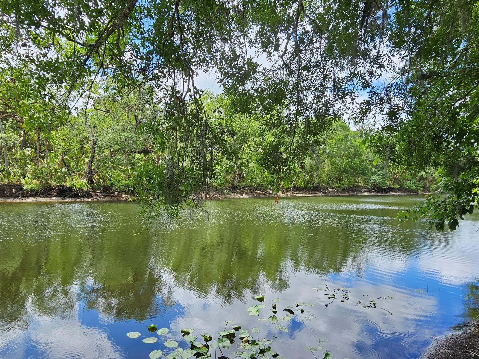 5110 STERLING MANOR DR, TAMPA, FL, 33647