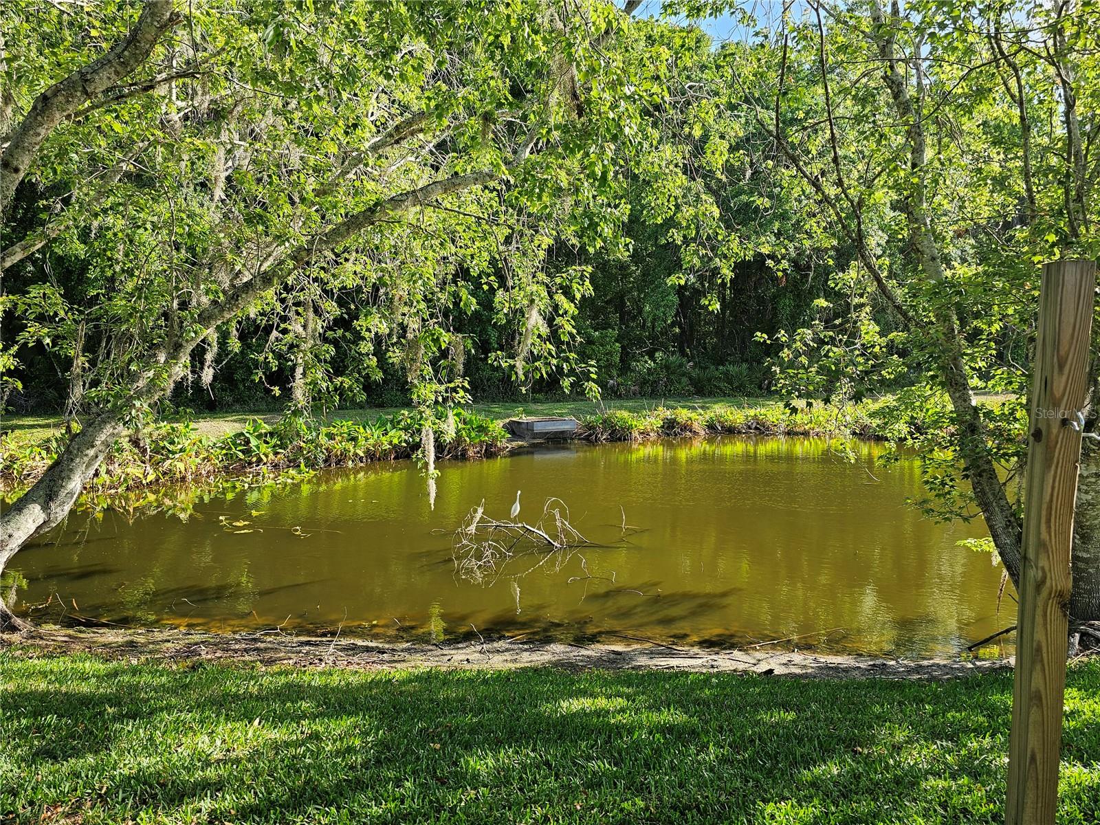 5110 STERLING MANOR DR, TAMPA, FL, 33647