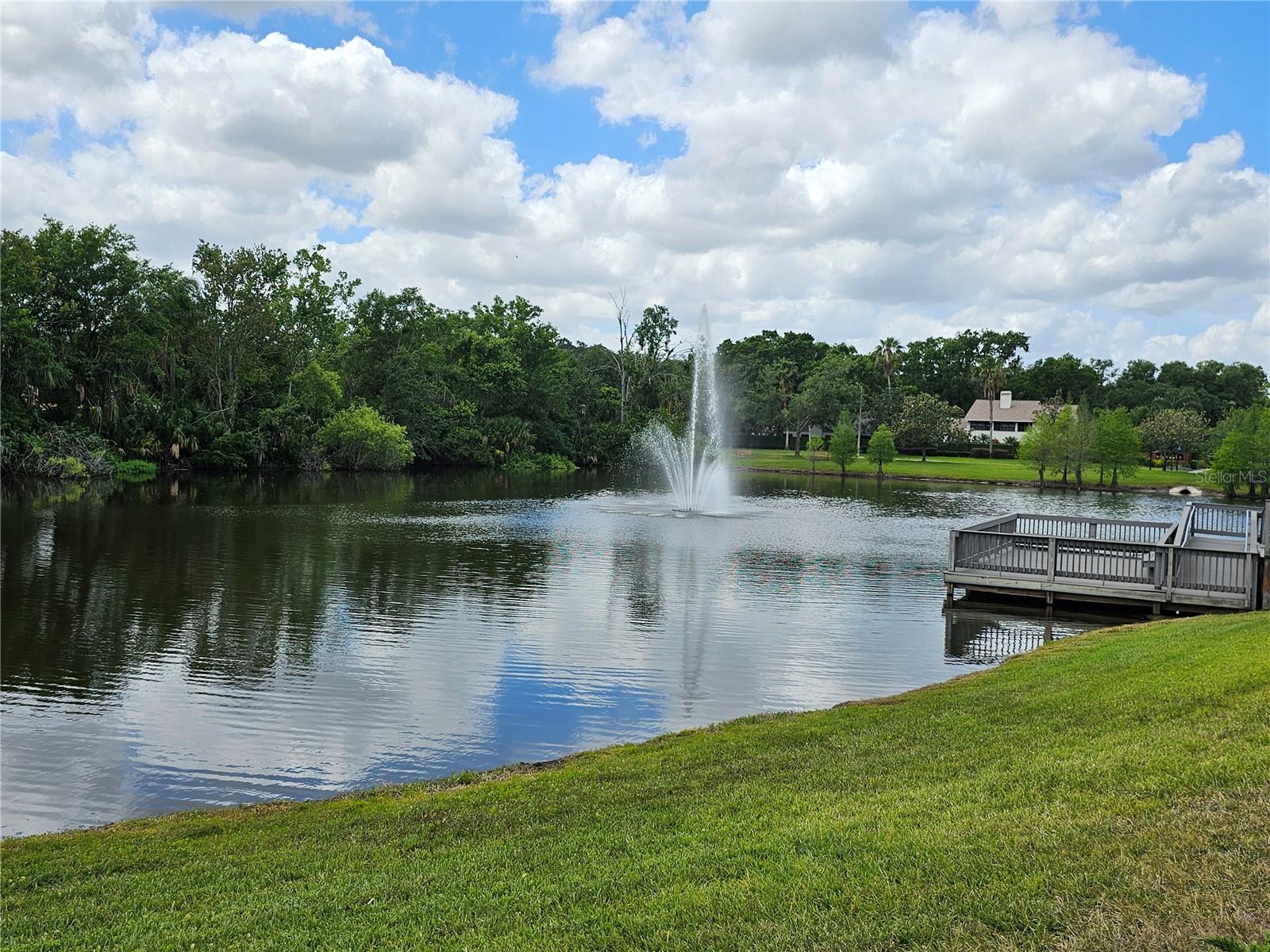 5110 STERLING MANOR DR, TAMPA, FL, 33647