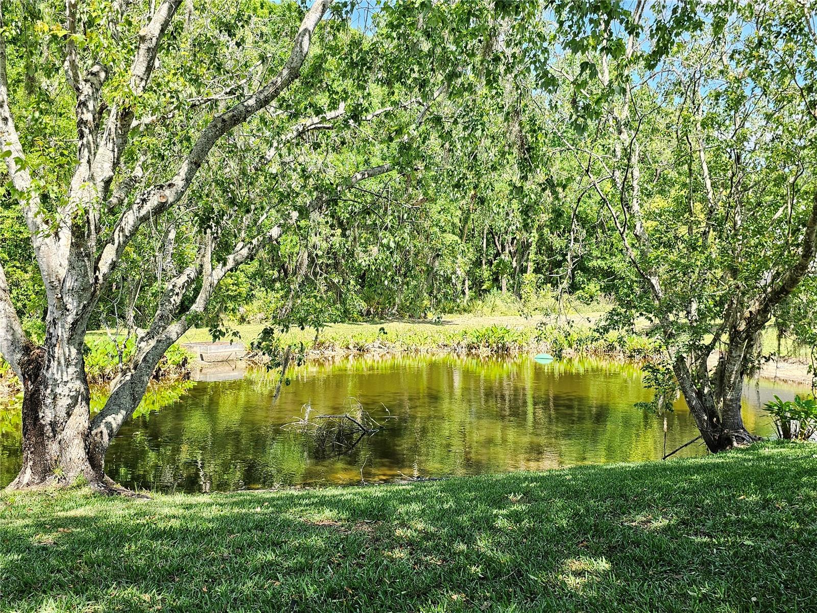 5110 STERLING MANOR DR, TAMPA, FL, 33647